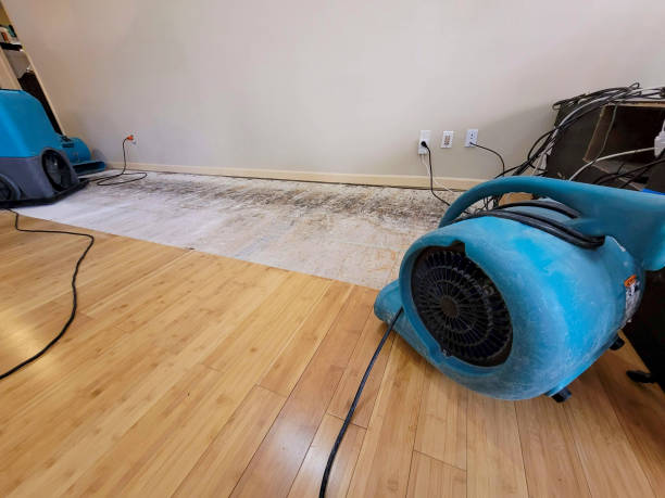 Professional Water Extraction technician working in Manhattan Beach, CA